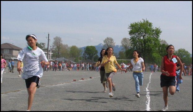 Field 026.jpg